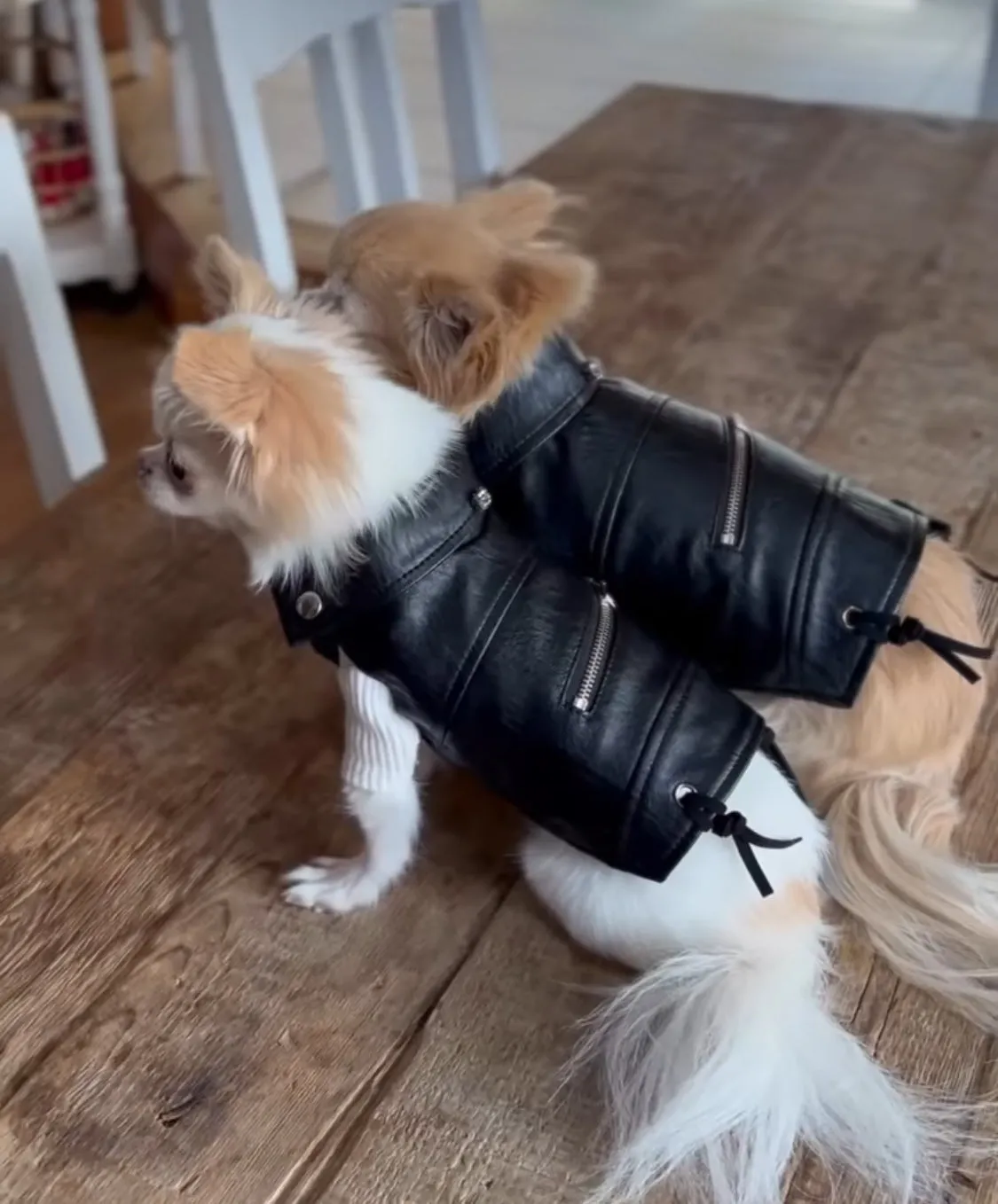 black leather biker jacket