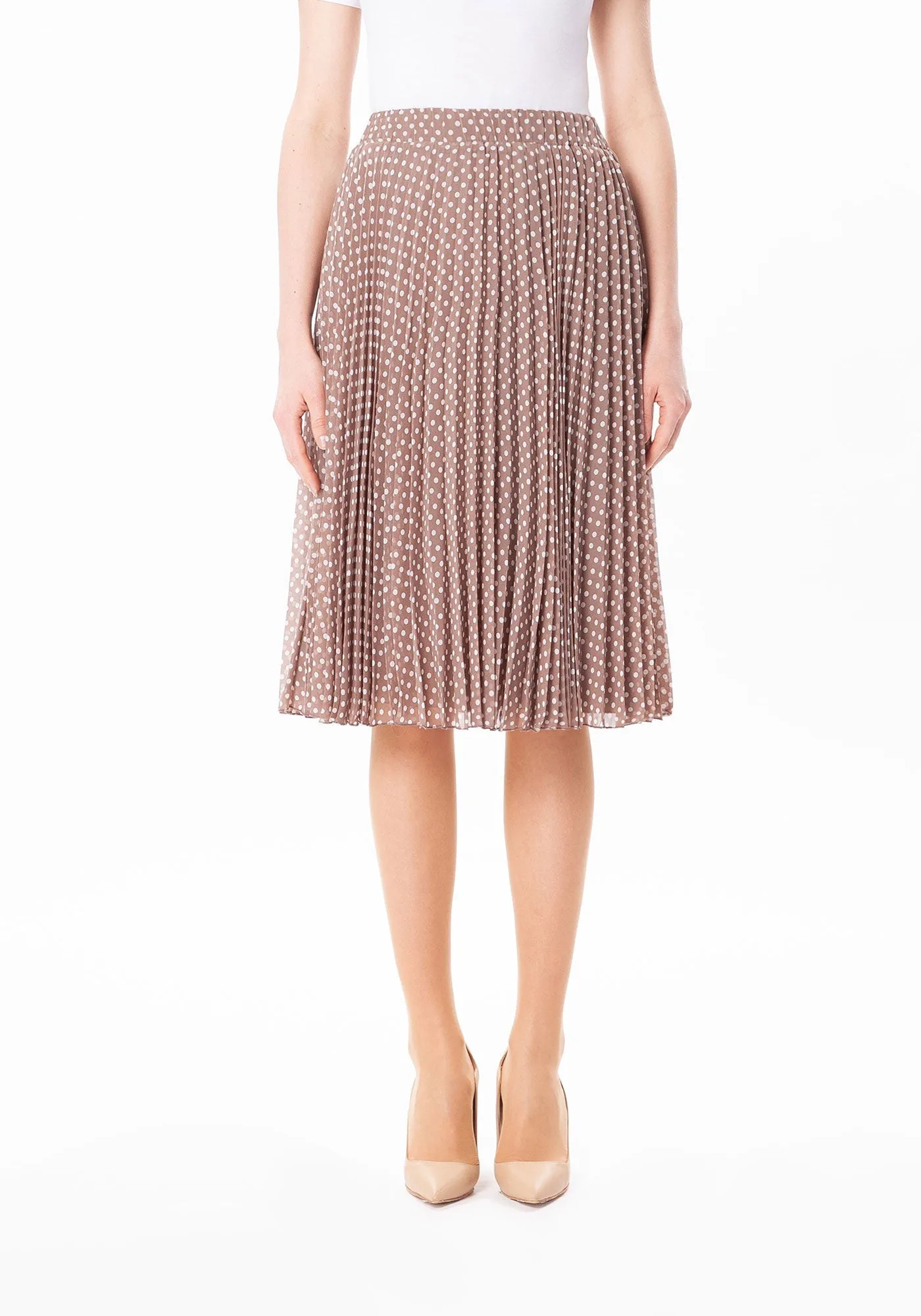 Chiffon Polka Dot Pattern Pleated Midi Skirt