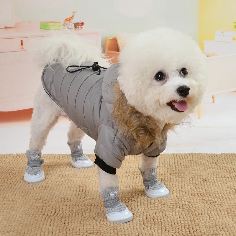 Dog clothing clothes Pet Clothes French Puppy Dog Costume Jumpsuit