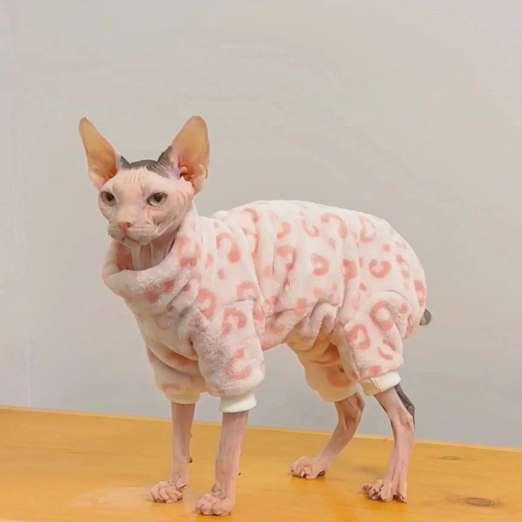 Fleece Coat for Sphynx Cat | Winter Warm High Neck 4-Legged Jumpsuit | Cozy Loungewear for Kittens & Devon Rex