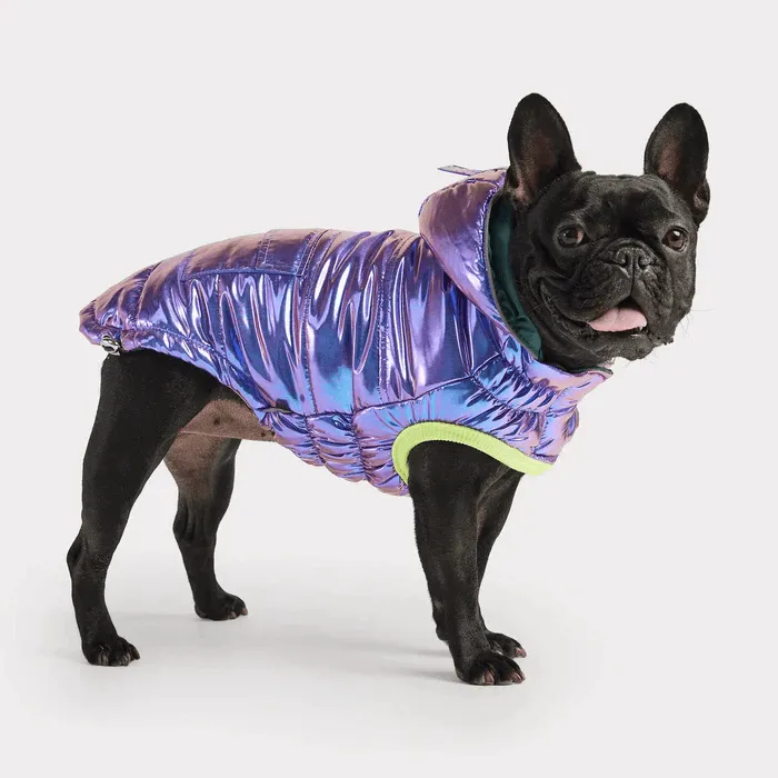 GF Pet Recycled Parka Iridescent For Dogs