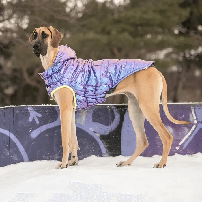 GF Pet Recycled Parka Iridescent For Dogs