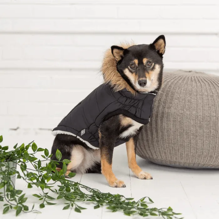 GF Pet Urban Parka Black For Dogs