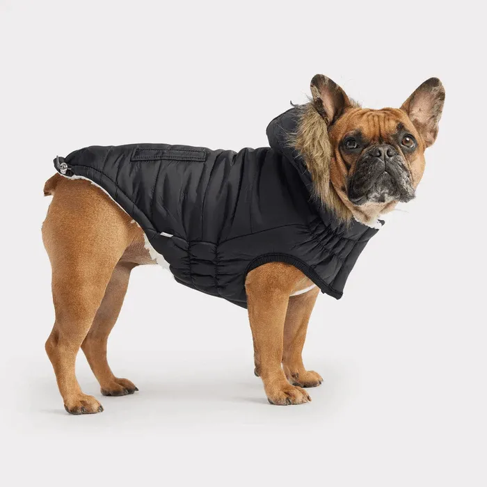 GF Pet Urban Parka Black For Dogs