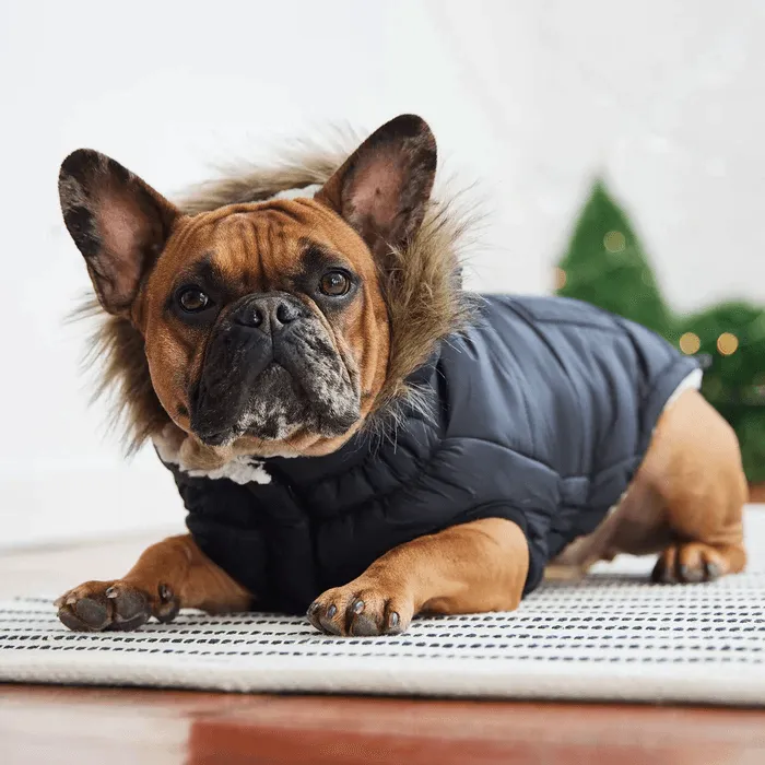 GF Pet Urban Parka Black For Dogs